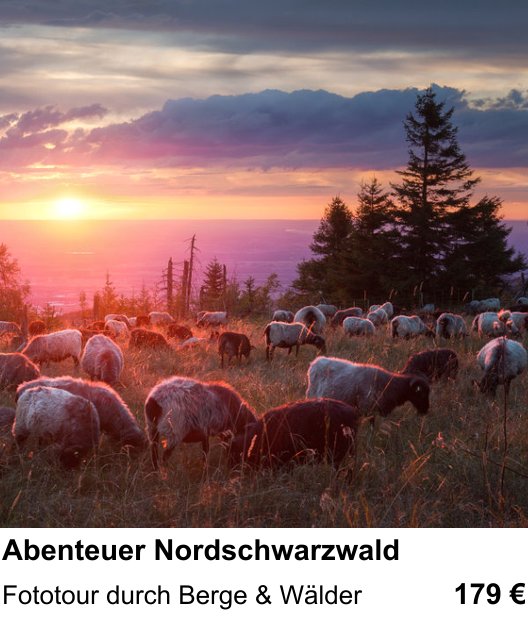 Abwechslungsreicher Foto-Workshop: Abenteuer Nordschwarzwald – Fototour durch Berge & Wälder
