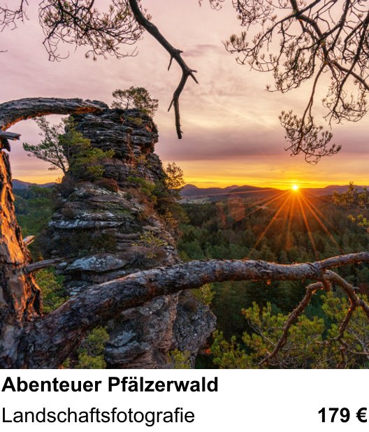 Abwechslungsreicher Foto-Workshop: Abenteuer Pfälzerwald – Landschaftsfotografie