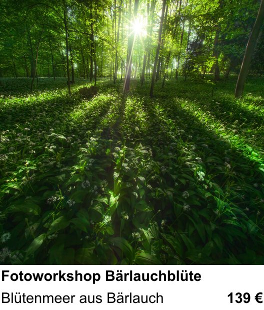 Abwechslungsreicher Foto-Workshop: Fotoworkshop Bärlauchblüte – Blütenmeer aus Bärlauch