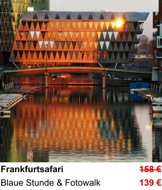 Fotokurs Frankfurtsafari – Blaue Stunde & Fotowalk