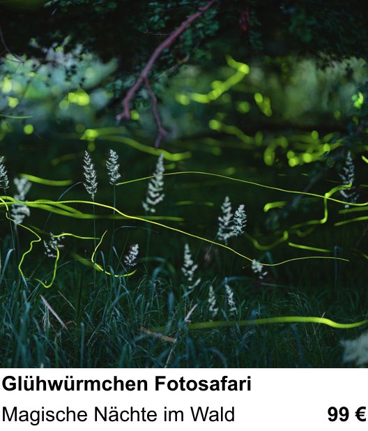 Abwechslungsreicher Foto-Workshop: Glühwürmchen Fotosafari – Magische Nächte im Wald