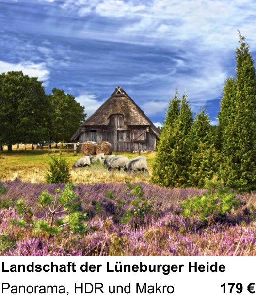 Abwechslungsreicher Foto-Workshop: Landschaft der Lüneburger Heide – Panorama, HDR und Makro