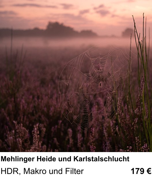 Abwechslungsreicher Foto-Workshop: Mehlinger Heide und Karlstalschlucht – HDR, Makro und Filter