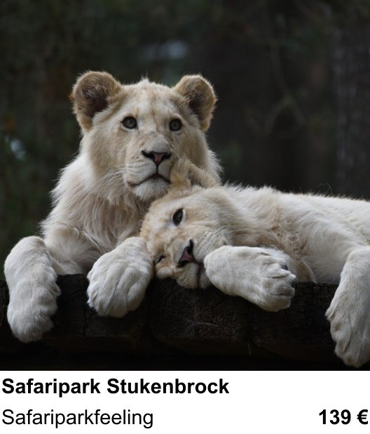 Abwechslungsreicher Foto-Workshop: Safaripark Stukenbrock – Safariparkfeeling