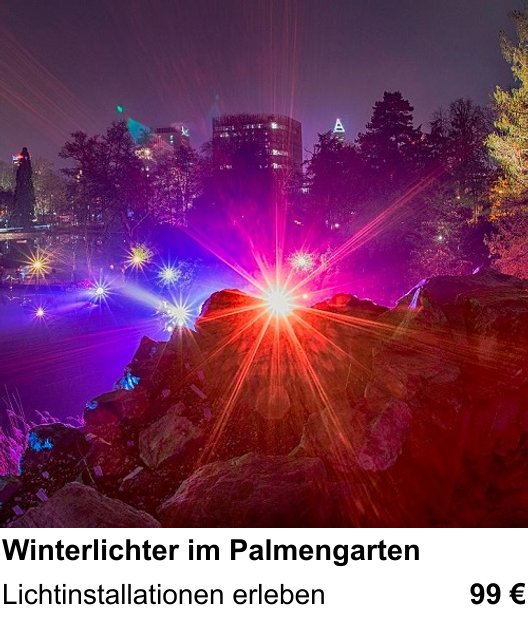 Abwechslungsreicher Foto-Workshop: Winterlichter im Palmengarten – Lichtinstallationen erleben